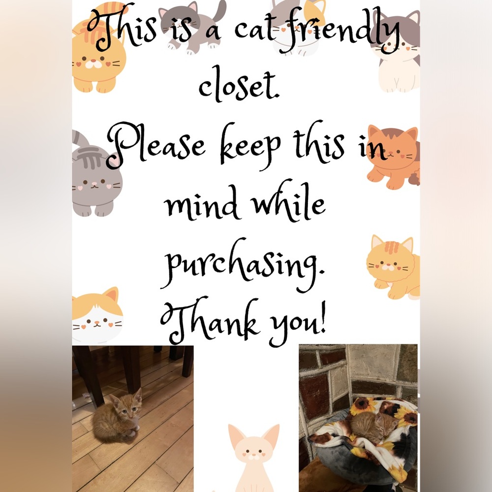 🐈‍⬛🐈🐈‍⬛🐈🐈‍⬛🐈